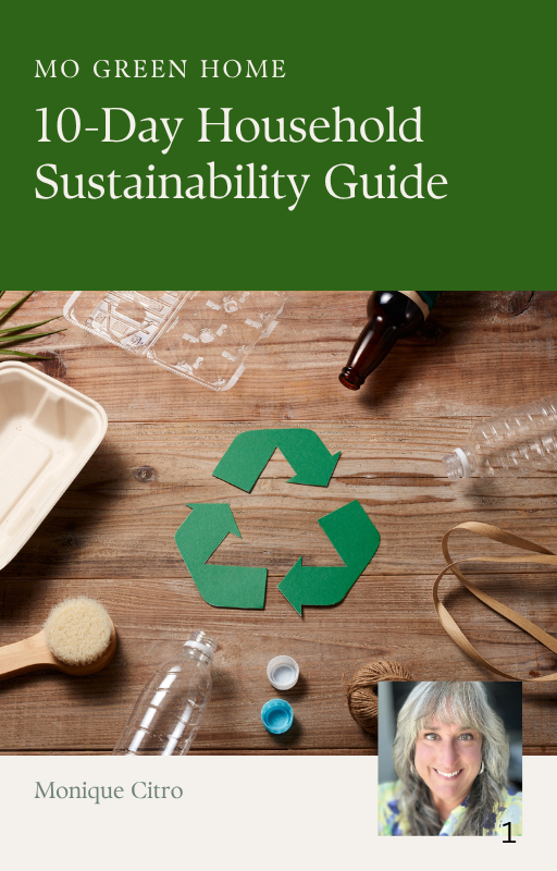 Mo Green Home: 10-Day Household Sustainability Guide (Digital PDF)